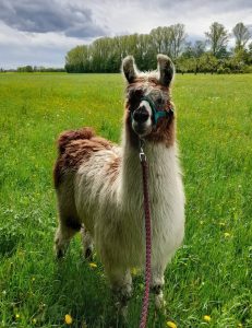 IMG_20210517_222850_123