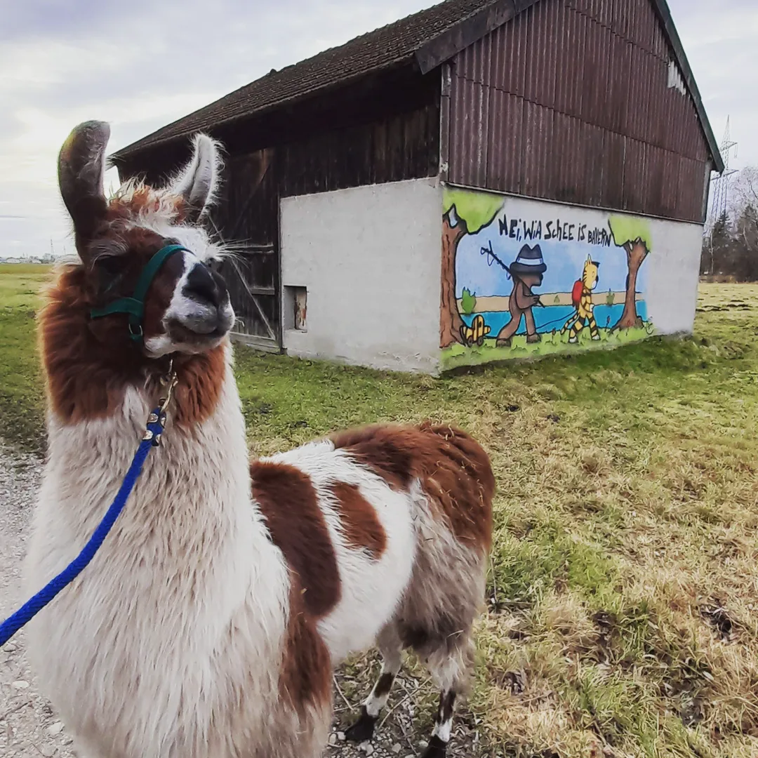 IMG_20220107_200055_125