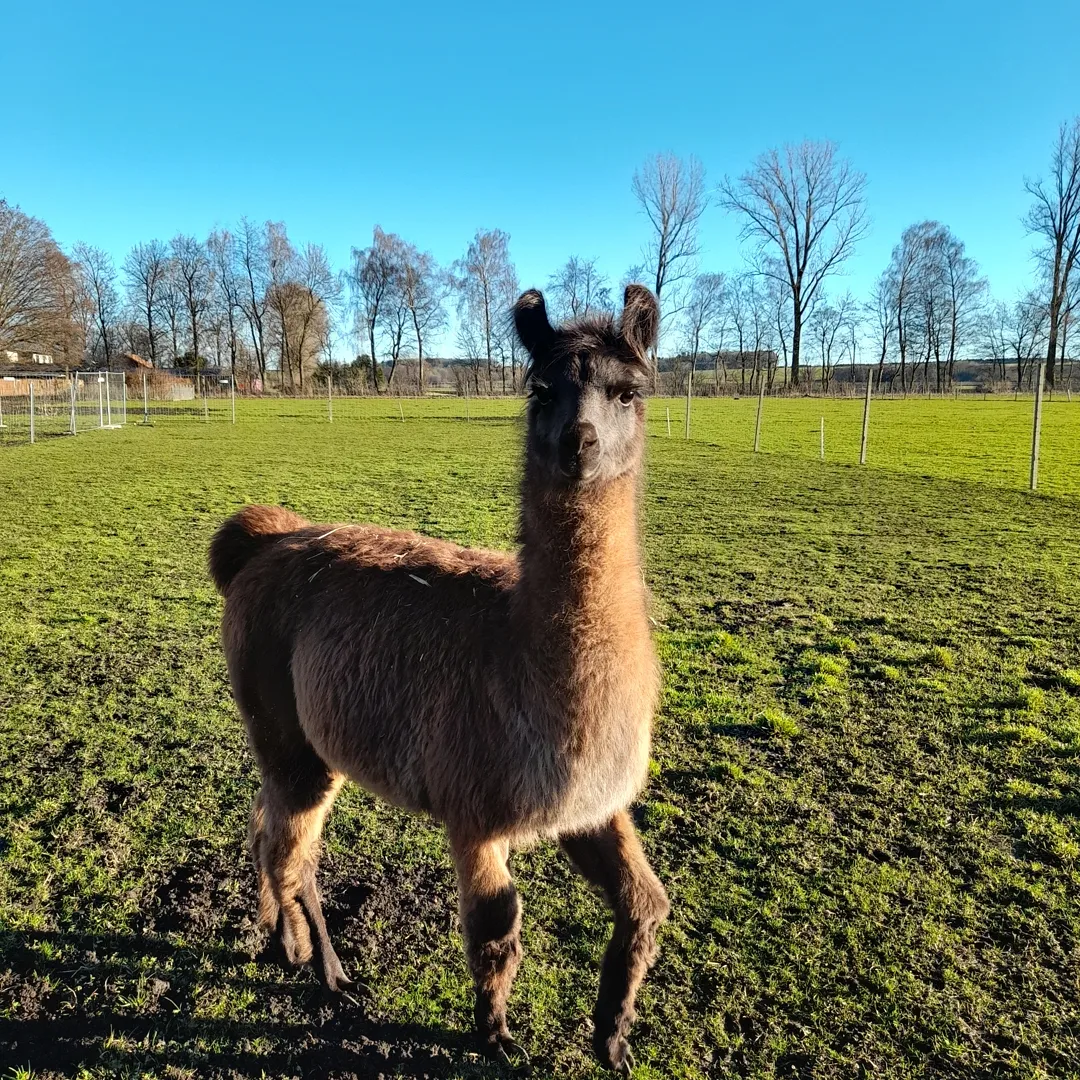 IMG_20220111_174059_095