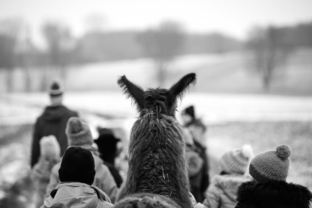 009583fd-1848-4ec8-bb34-723727408896