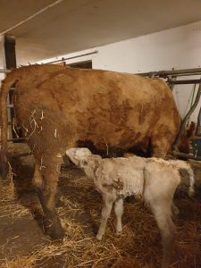 3c92a47c-87ef-429f-a5f0-5e881327cb5b