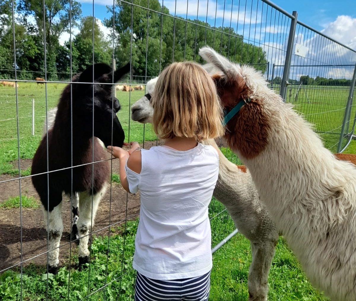 8169ac5f-0b09-413b-91c5-a84881921558