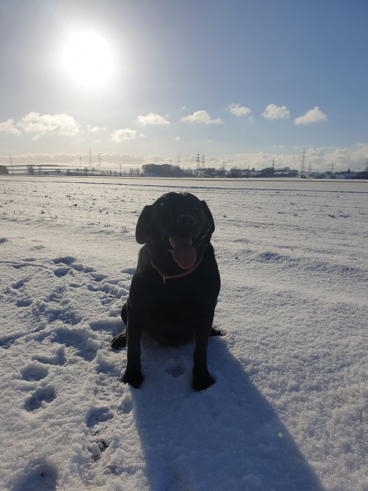 99919863-c923-40bc-bcbe-6ab8c2757e79