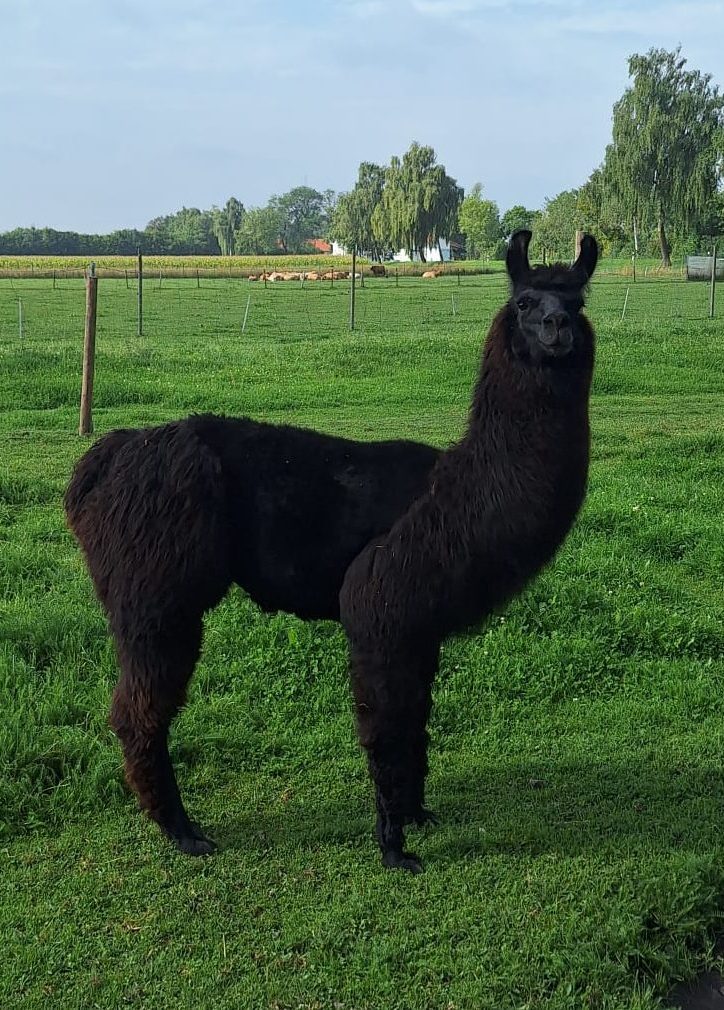 WhatsApp Image 2025-08-28 at 15.37.18